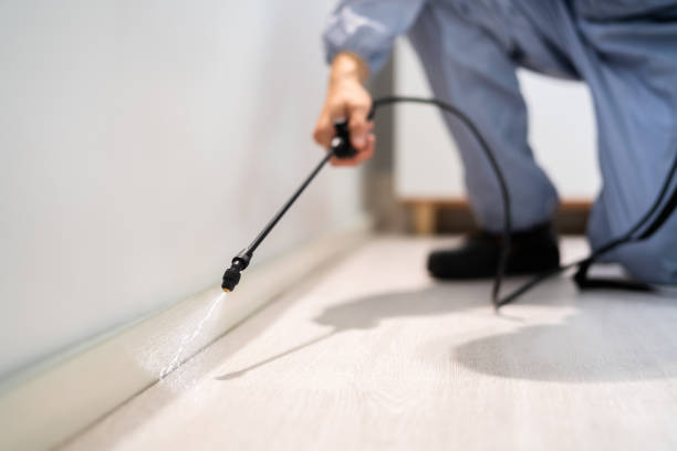Licensed Pest Control service in Two Rivers, WI - Show Me Pest Control